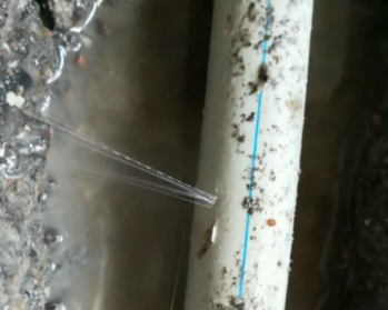 银海卫生间测漏水多少钱